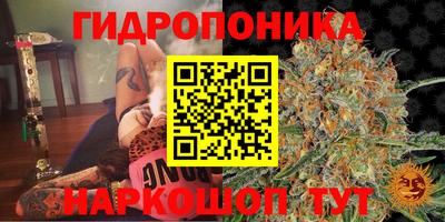 прущая мука Дубна