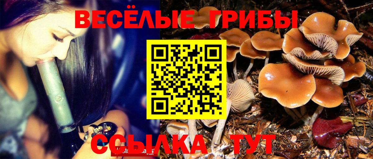 Люберцы  Галлюциногенные грибы Psilocybine cubensis  дарнет шоп  Вход с VPN 